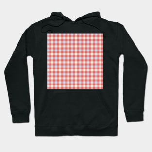 Classic Gingham in tangerine red, pale blue and cream - timeless style Hoodie